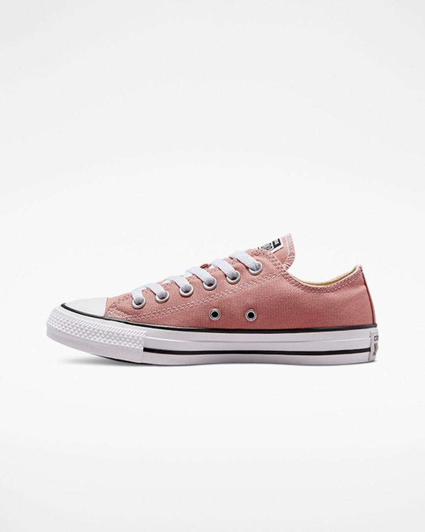 Dámské Boty Nízké Converse Chuck Taylor All Star Seasonal Color Růžové | CZ F31HB81